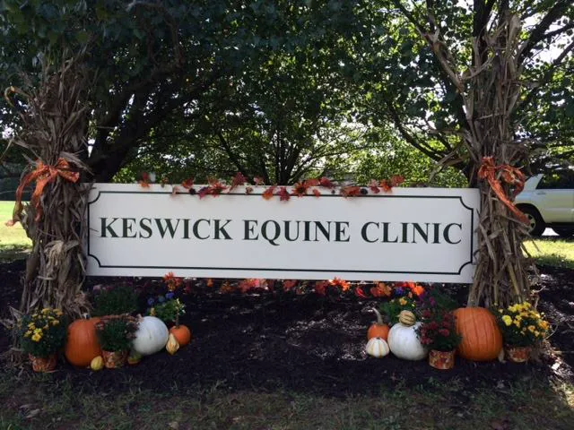 Keswick Equine Clinic 1