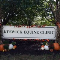 Keswick Equine Clinic ico
