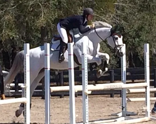Keswick Equine Clinic 3