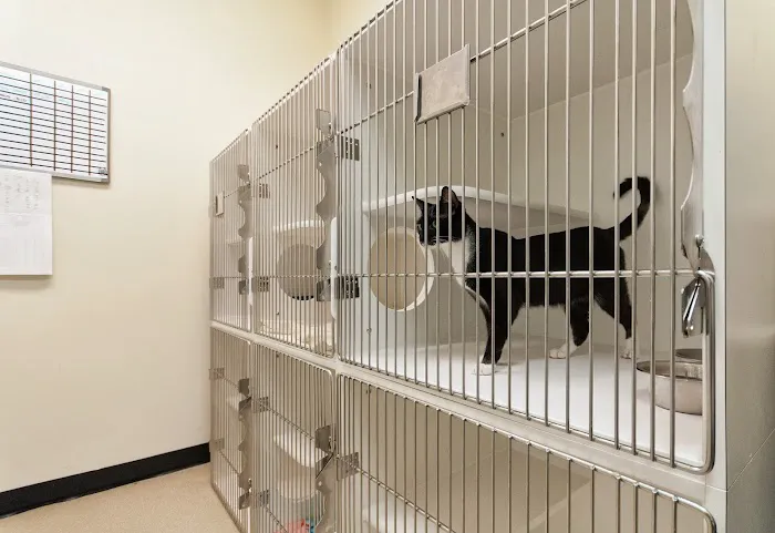 Crossroads Animal Hospital 4
