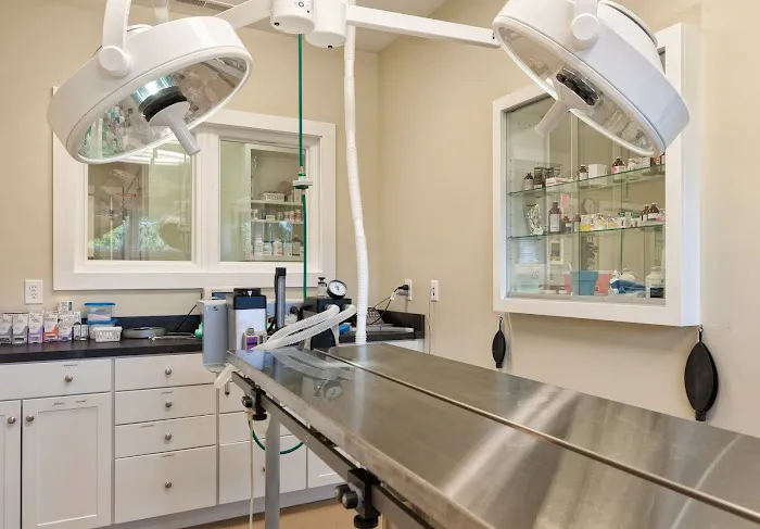 Crossroads Animal Hospital 3