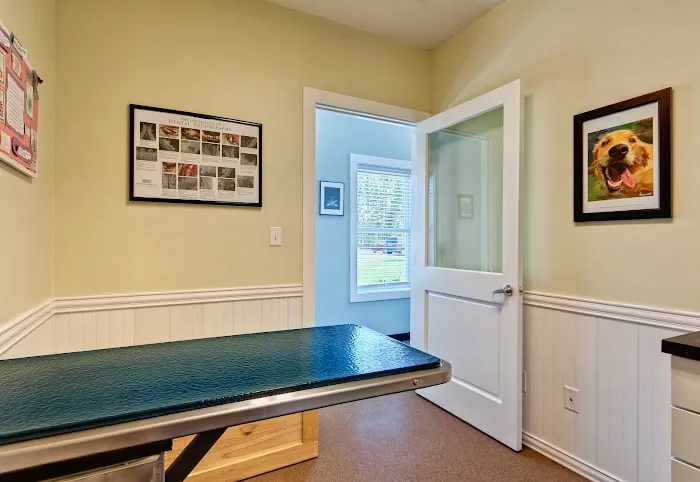 Crossroads Animal Hospital 6