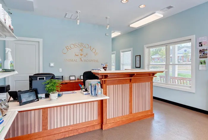Crossroads Animal Hospital 2