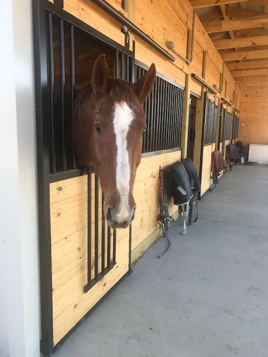 Veterinary Rehabilitation Services of Virginia 1