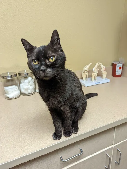 Shenandoah Veterinary Hospital 1