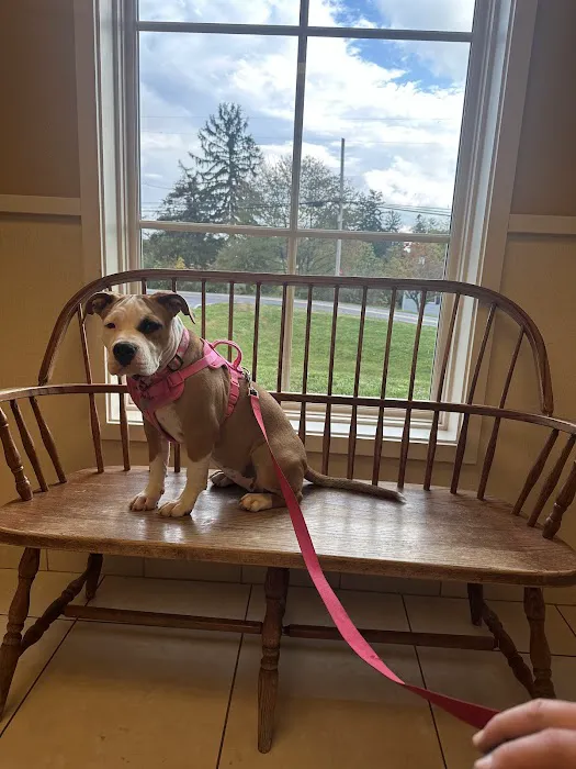 Shenandoah Veterinary Hospital 4
