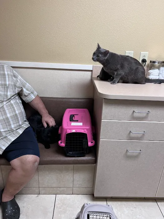 Shenandoah Veterinary Hospital 5