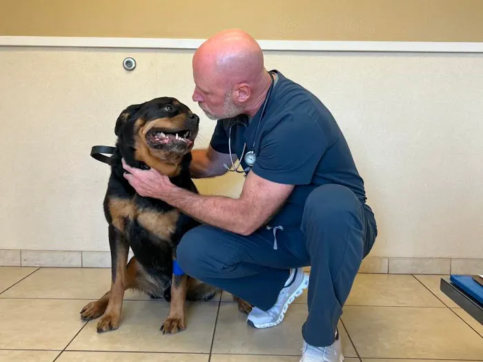 Shenandoah Veterinary Hospital 9