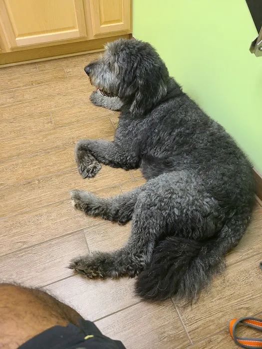 My Family Veterinary Hospital / Peachtree Veterinary Clinic 6