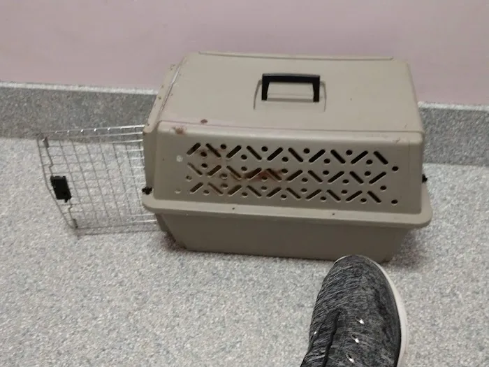 Poolesville Veterinary Clinic 8