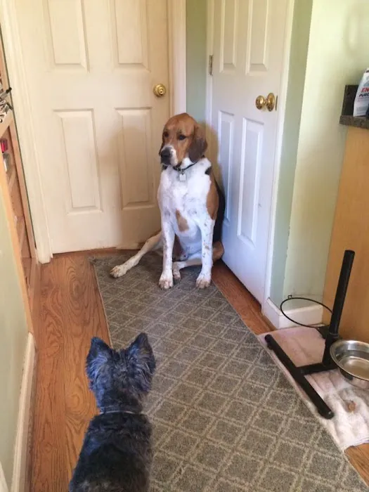 Poolesville Veterinary Clinic 9