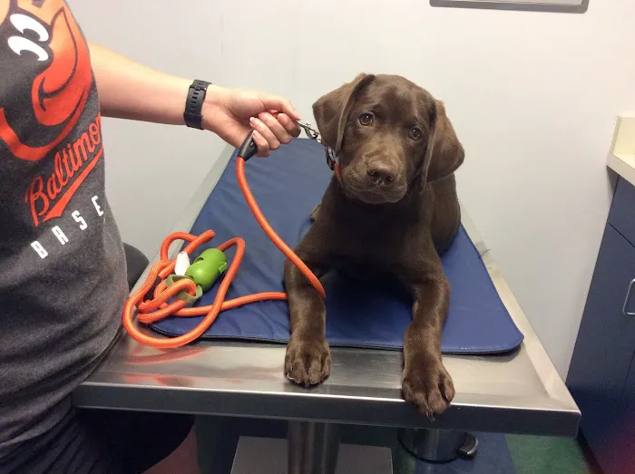 Mercersburg Veterinary Clinic 4