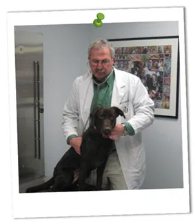 Mercersburg Veterinary Clinic 1