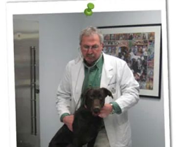 Mercersburg Veterinary Clinic