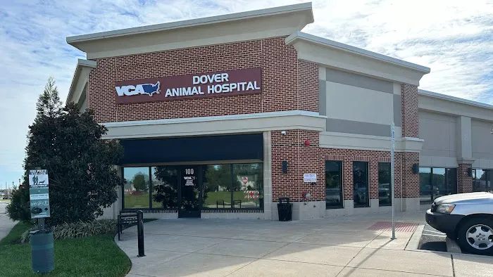 VCA Dover Animal Hospital 6