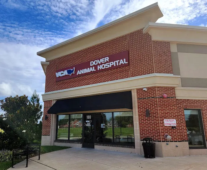 VCA Dover Animal Hospital 3