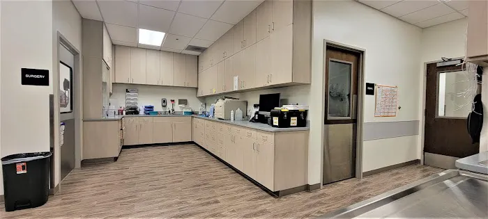 VCA Dover Animal Hospital 9