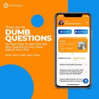 VETPASS Inc ico