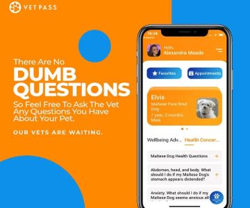 VETPASS Inc
