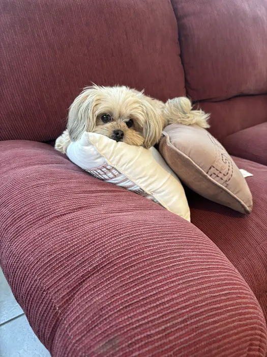 Governors Avenue Animal Hospital 5