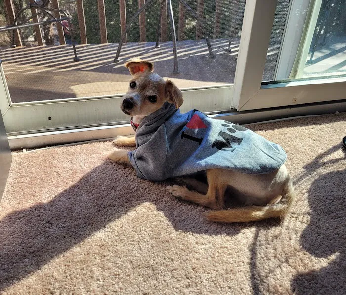 Governors Avenue Animal Hospital 9