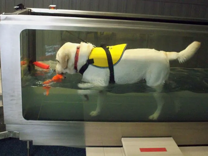 Haven Lake Animal Hospital 3