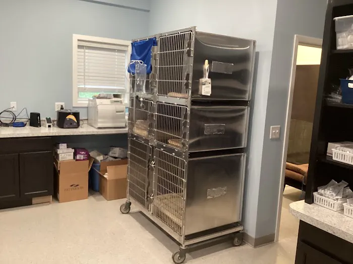 All Creatures Veterinary Service 9
