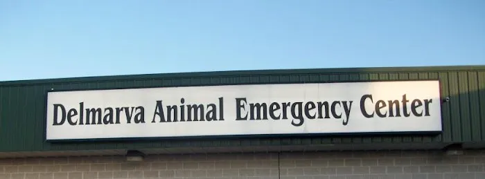 Delmarva Animal Emergency Center 2