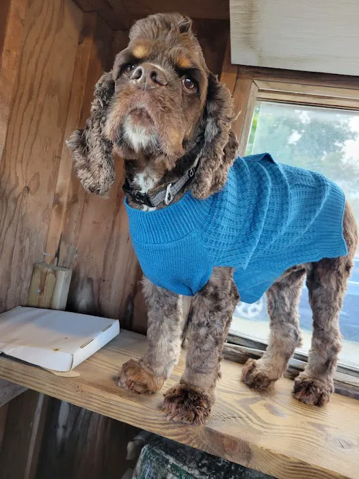 Four Paws Animal Hospital 9