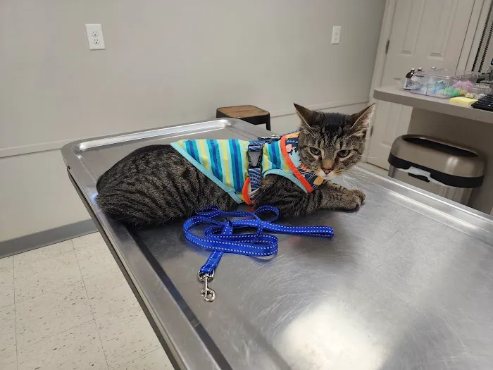 Georgetown Animal Hospital 7