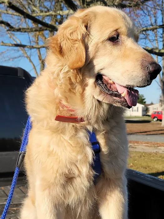 Georgetown Animal Hospital 9