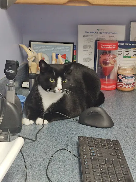 Eastern Shore Veterinary Hospital 5