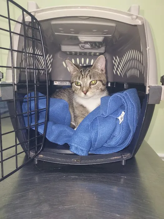 Eastern Shore Veterinary Hospital 1