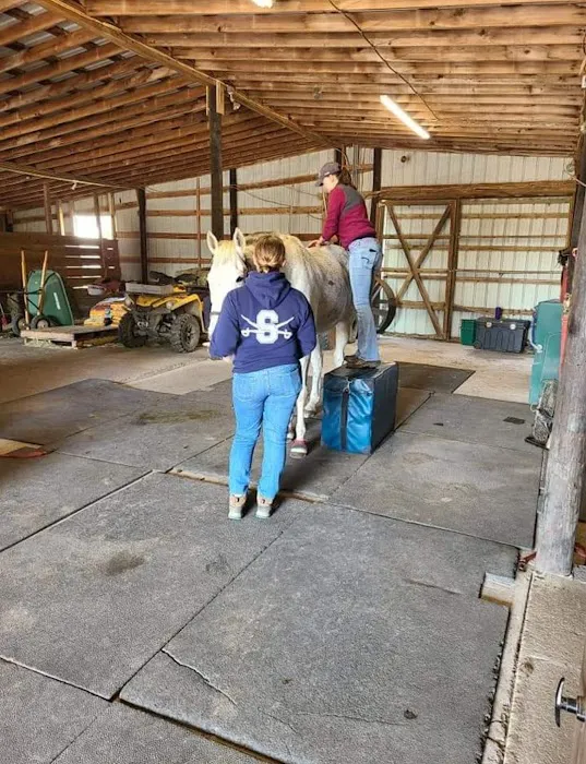 Delmarva Equine Clinic 1