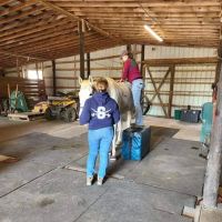 Delmarva Equine Clinic ico
