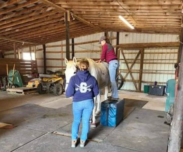 Delmarva Equine Clinic