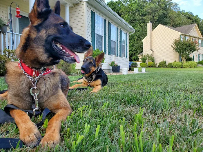 Dover AFB Veterinary Treatment Facility 2