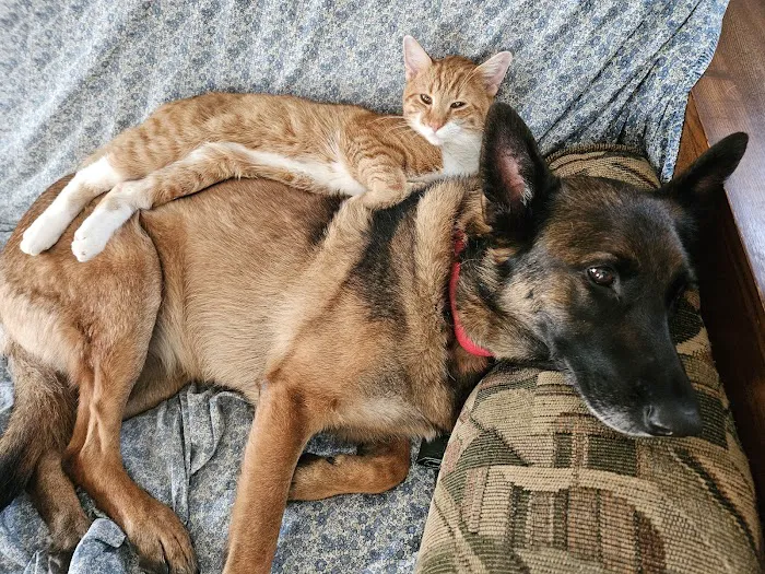 Dover AFB Veterinary Treatment Facility 3