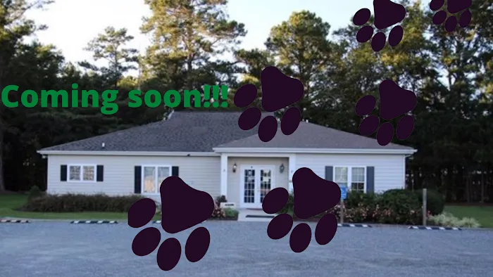 Animal Care of Mathews 8