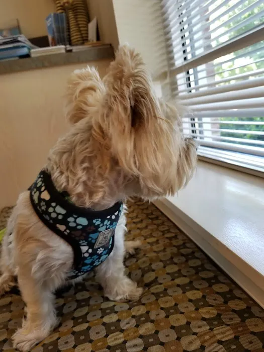 VCA Anderson's Corner Animal Hospital 3