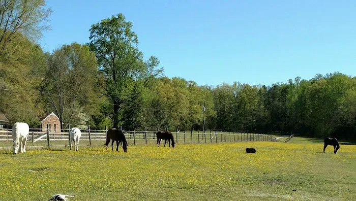 Tidewater Equine Clinic & Farm Animal Services 9
