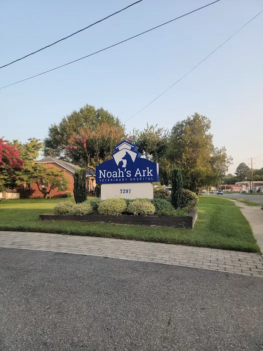 Noah's Ark Veterinary Hospital 3