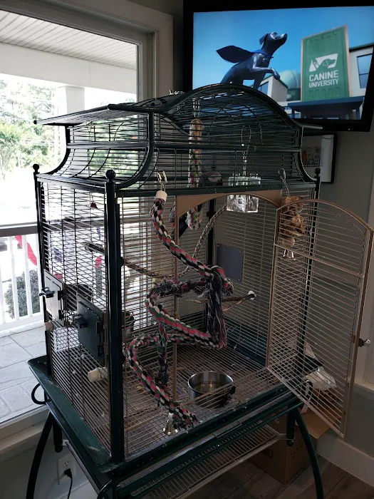 Noah's Ark Veterinary Hospital 4
