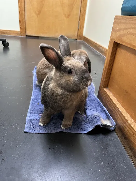 Jolly Pond Veterinary Hospital 3