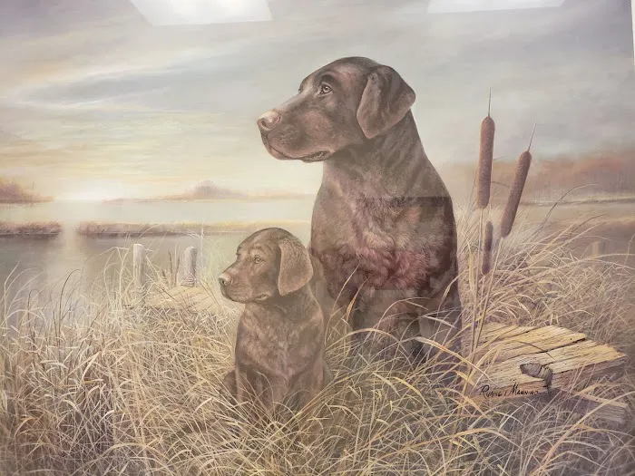 Chickahominy Animal Hospital 3