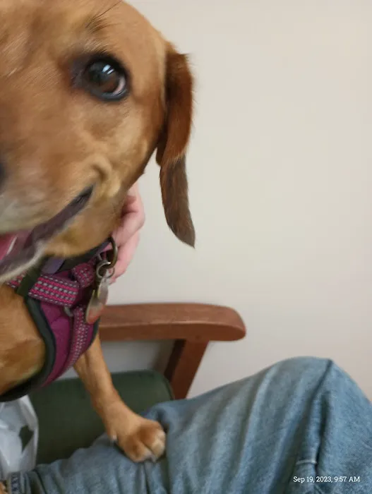 Chickahominy Animal Hospital 4