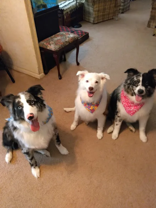 King William Veterinary Clinic 6