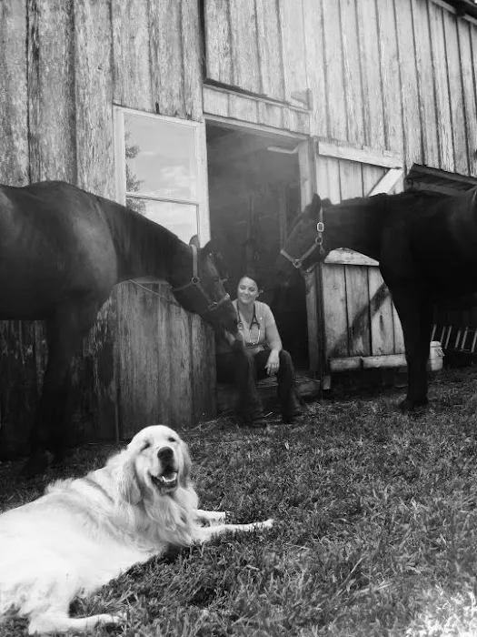 Dover Equine Veterinary 4