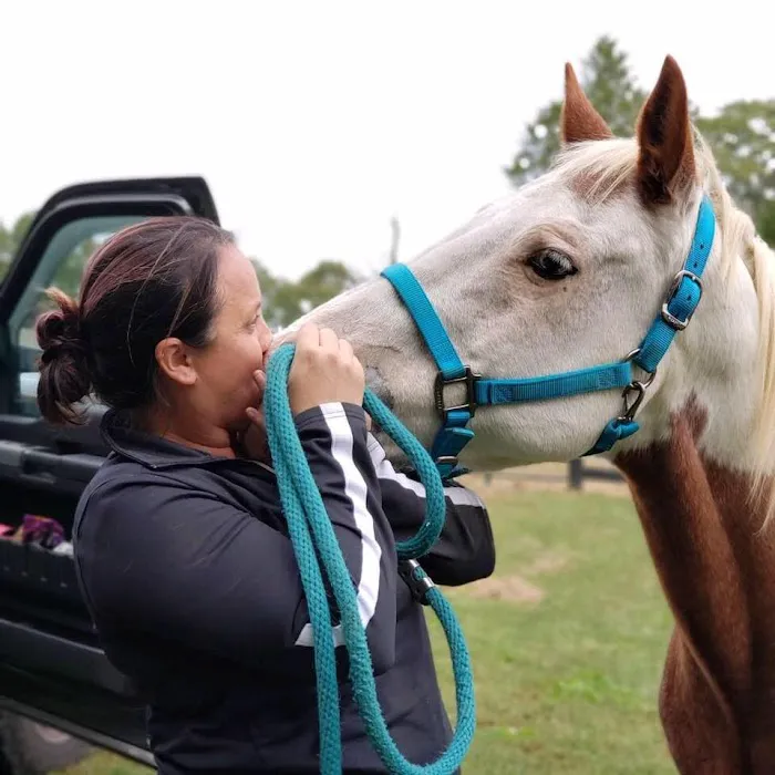 Dover Equine Veterinary 2