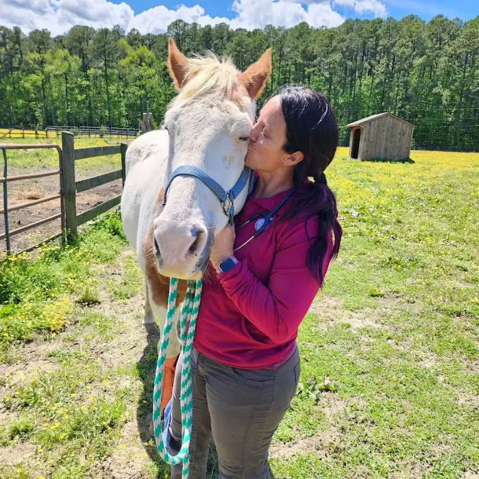 Dover Equine Veterinary 3
